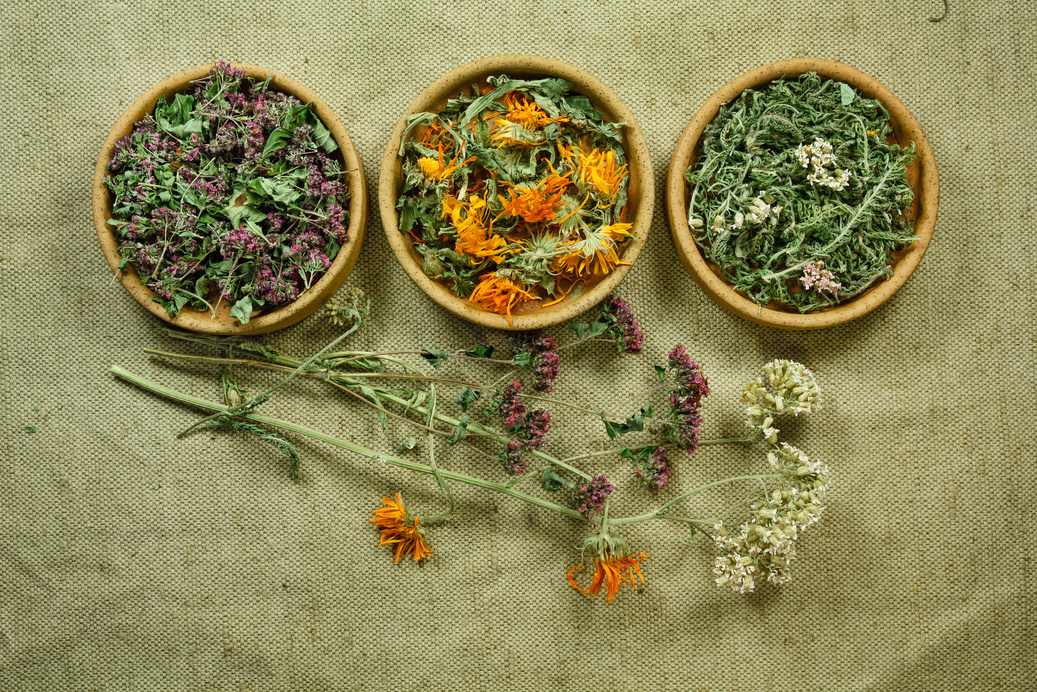 Dried. Herbal medicine, phytotherapy medicinal herbs.